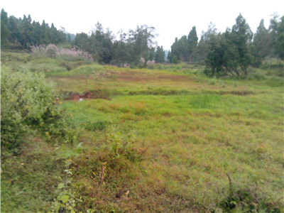 IMG_20131020_125701.jpg