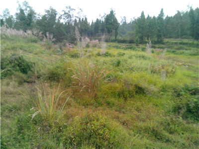 IMG_20131020_125806.jpg