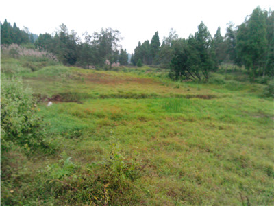IMG_20131020_130833.jpg