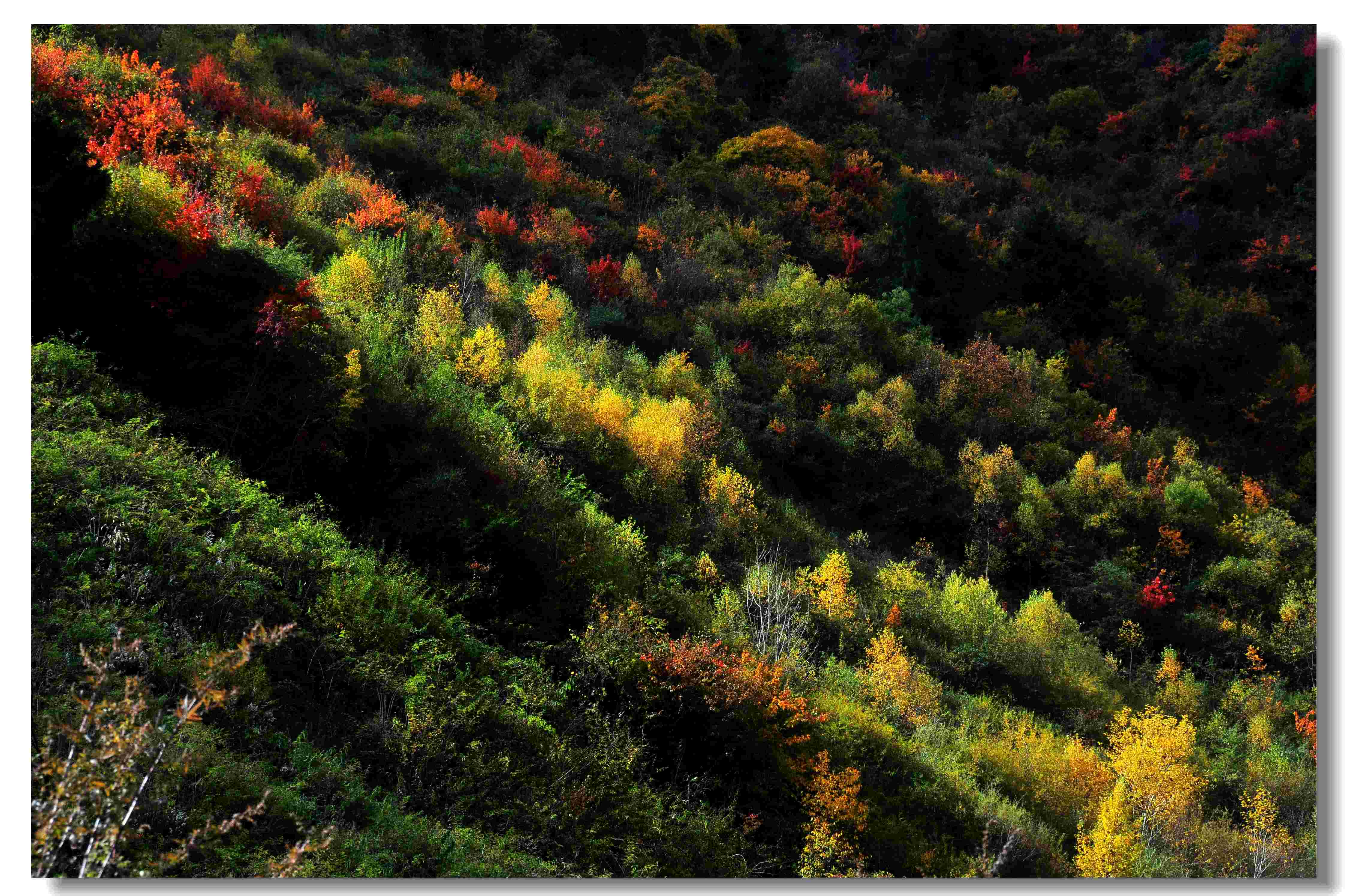 DSC_0763.jpg