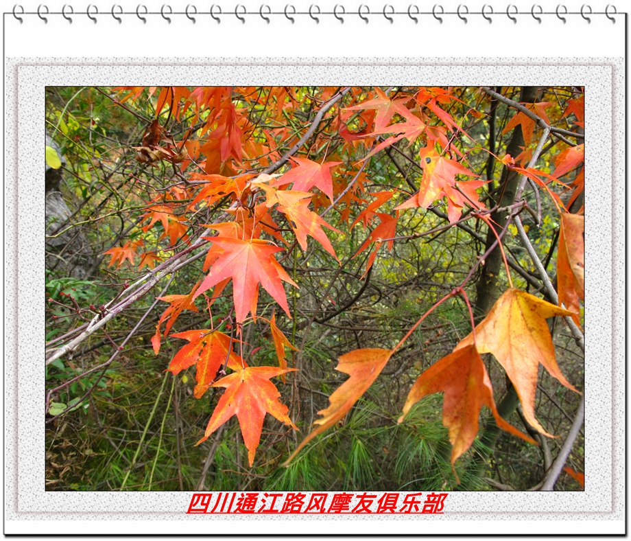 IMG_3626.JPG