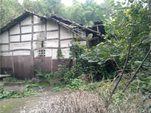 IMG_20131020_155124.jpg
