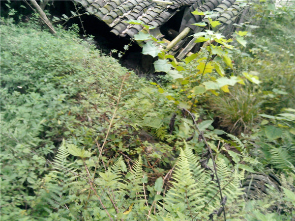 IMG_20131020_155837.jpg