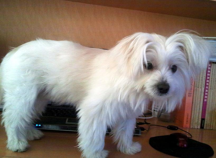 Ƭ0094.jpg