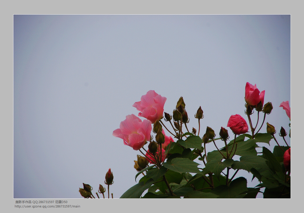 DSC_0095.jpg