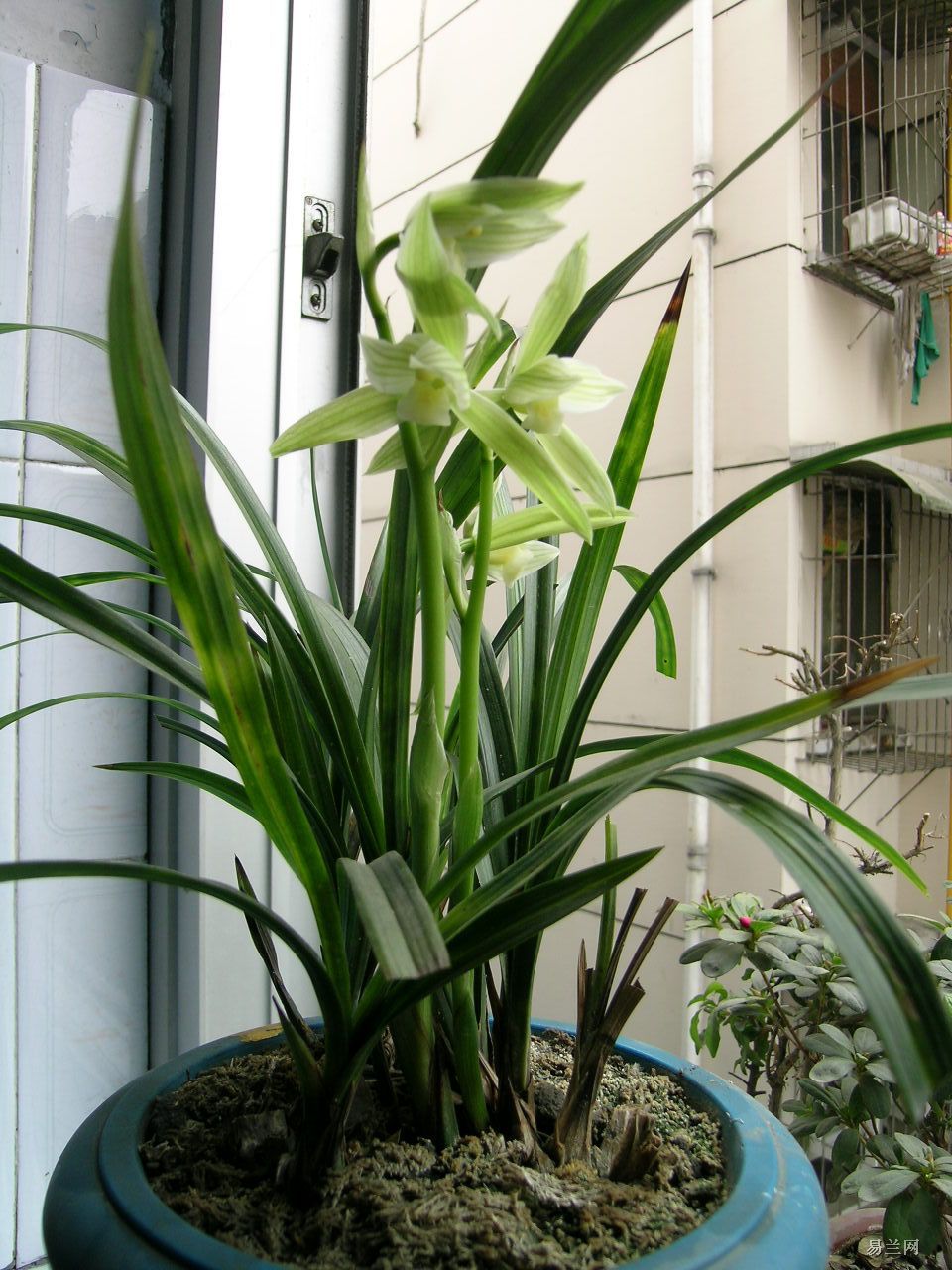 2010060421014827.jpg