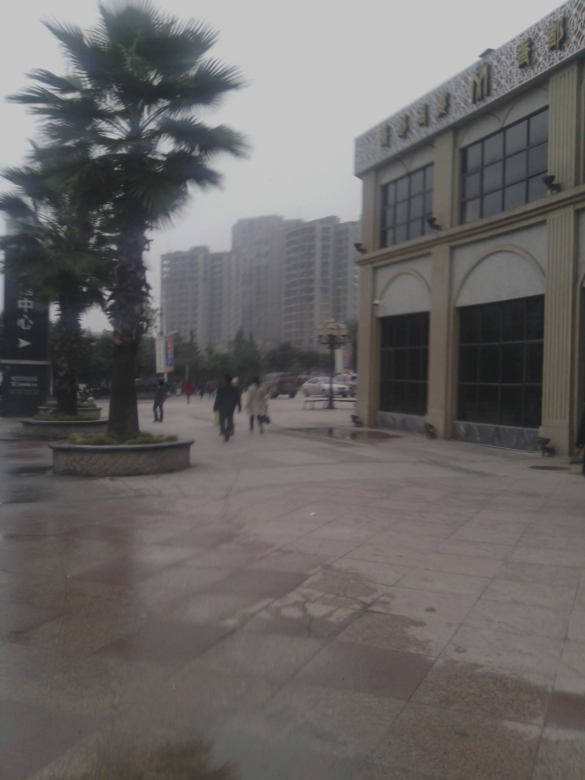 IMG_20131106_081215.jpg