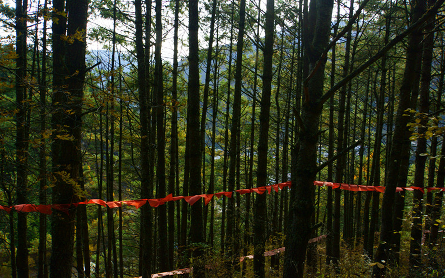 20131106-145300.JPG