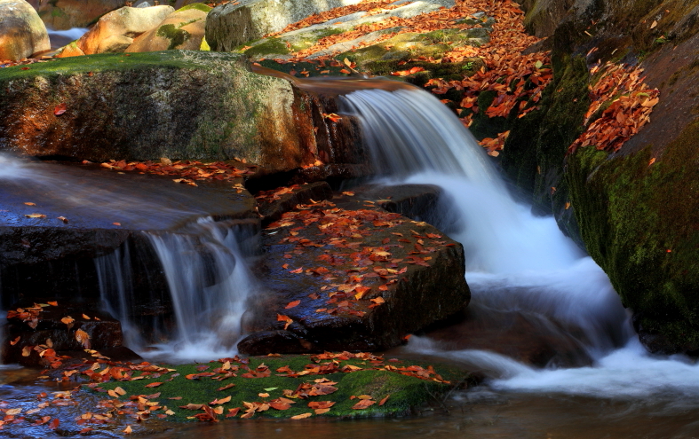 2013Ҷ0118.JPG