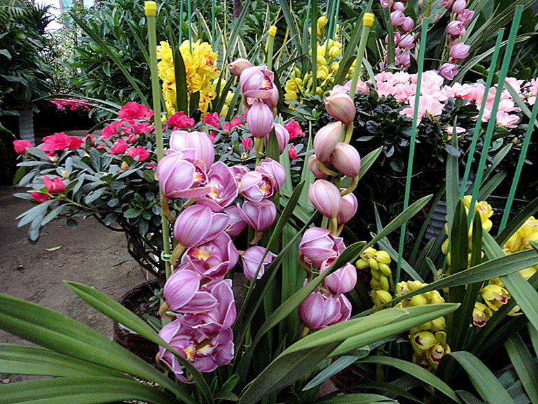 DSC02051_.jpg