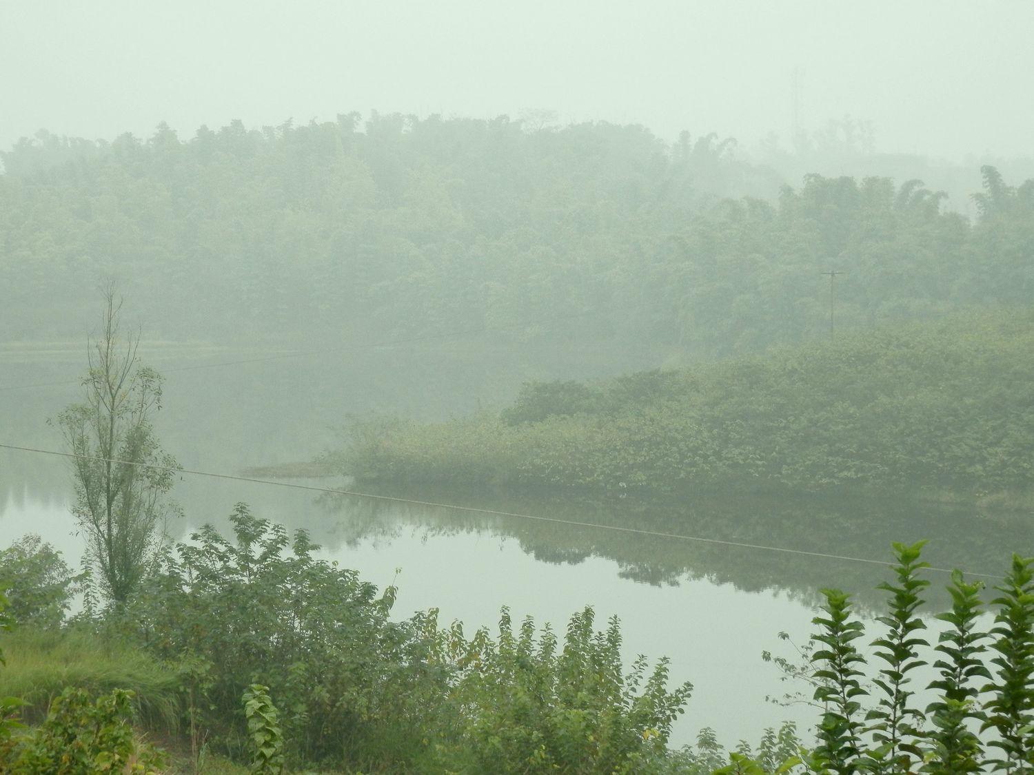 PB070436.JPG