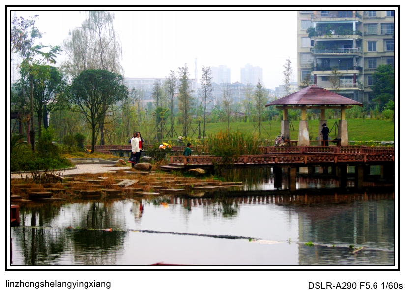 DSC07872_conew2.jpg
