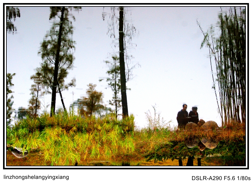 DSC07878_conew2.jpg