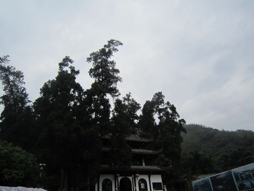 IMG_4746.JPG