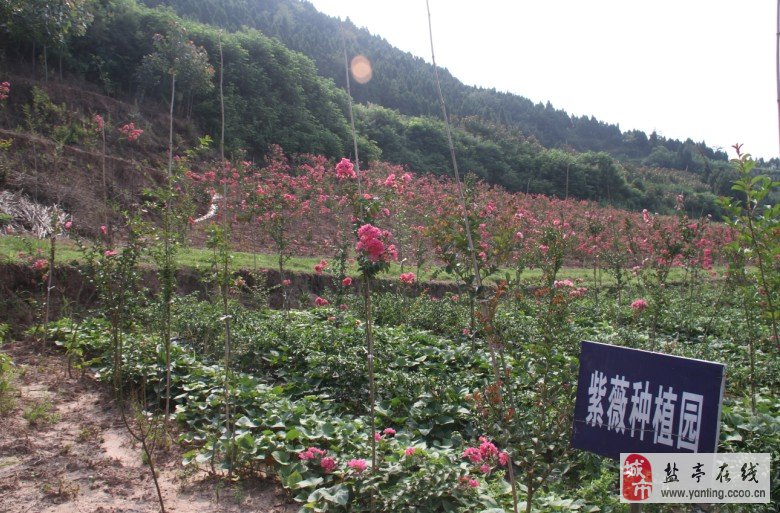 201310021047076169.jpg