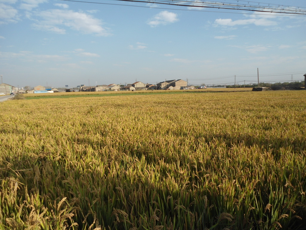 DSC05715.JPG