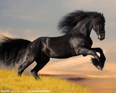 ڵ2f738bd4b31c8701b4127ac8267f9e2f0708ff7c.jpg