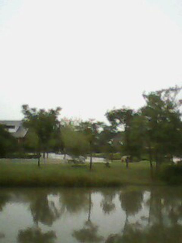IMG0119A_.jpg