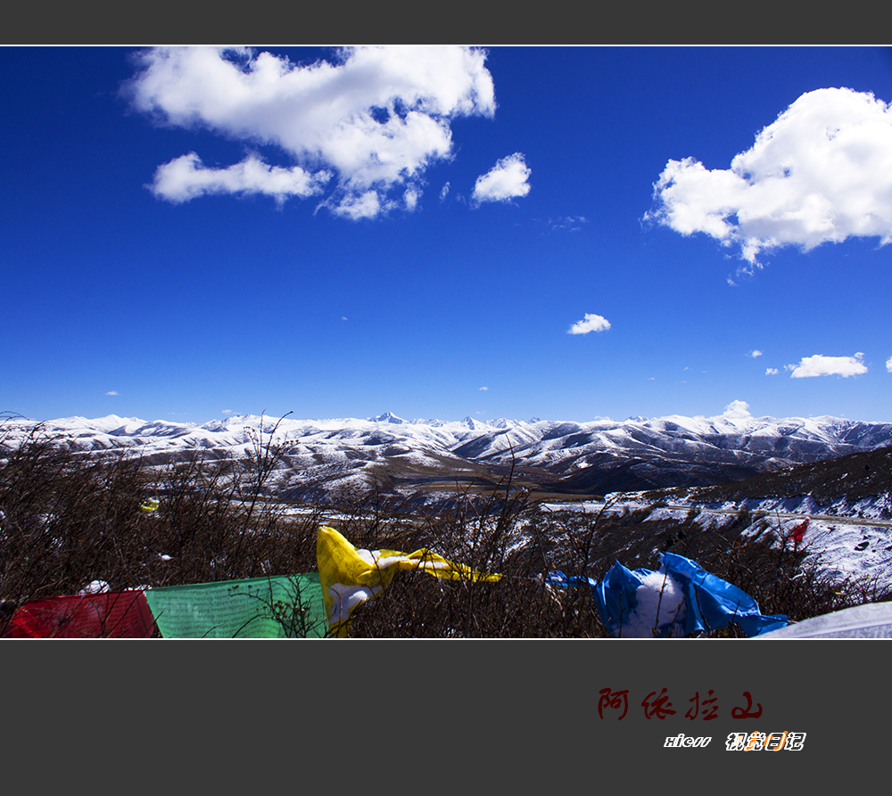 DSC00162ab.jpg