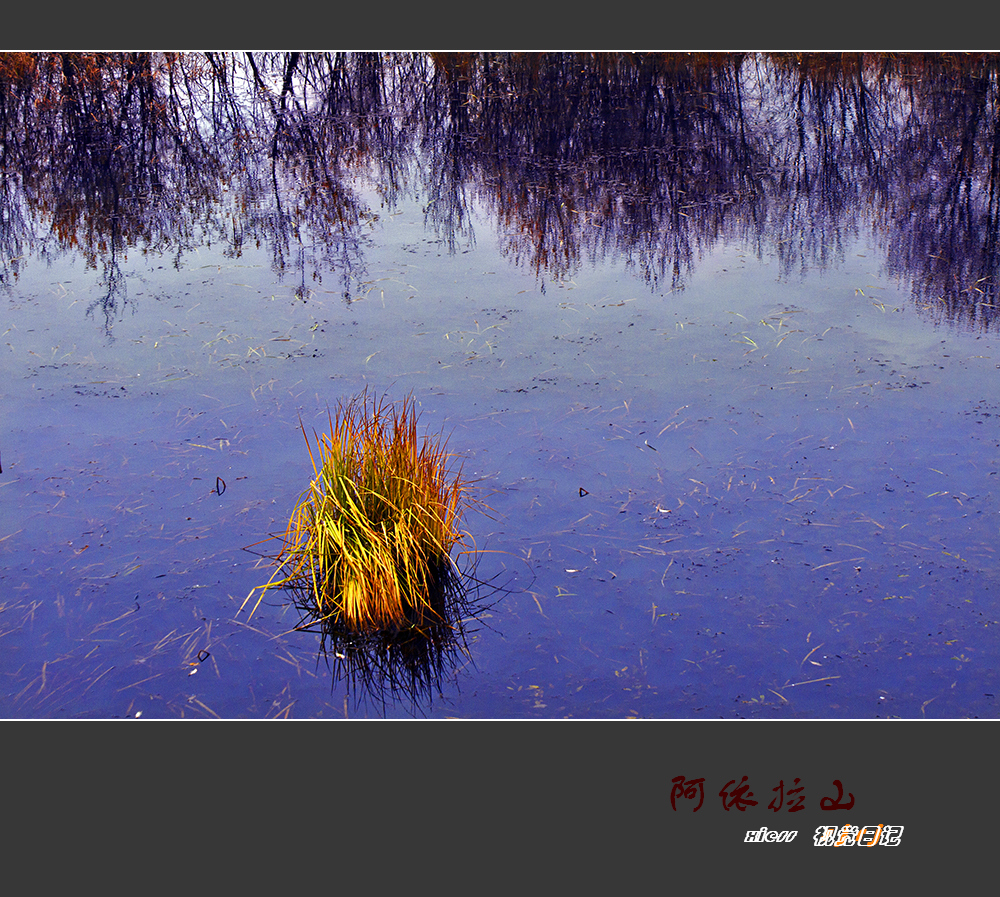 DSC09719ab.jpg