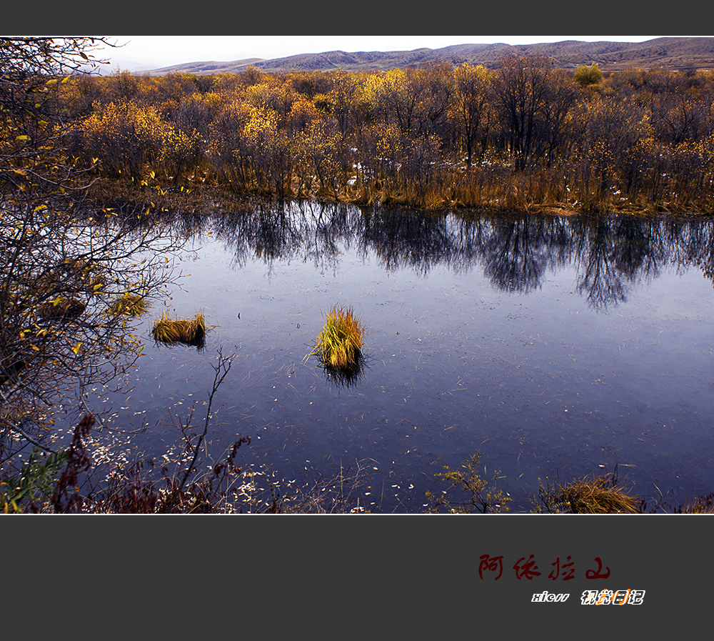 DSC09718ab.jpg