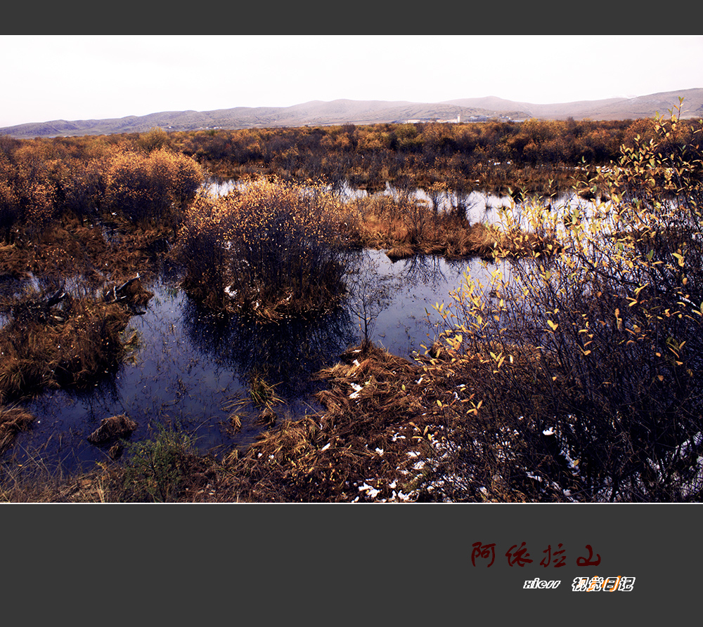 DSC09734ab.jpg