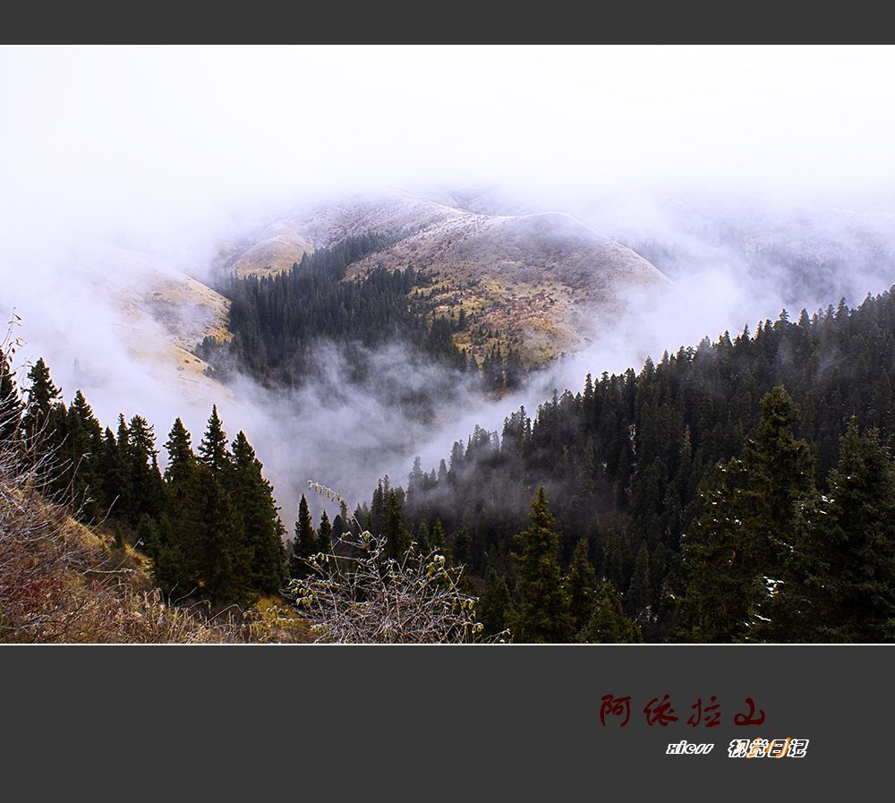 DSC00121ab.jpg