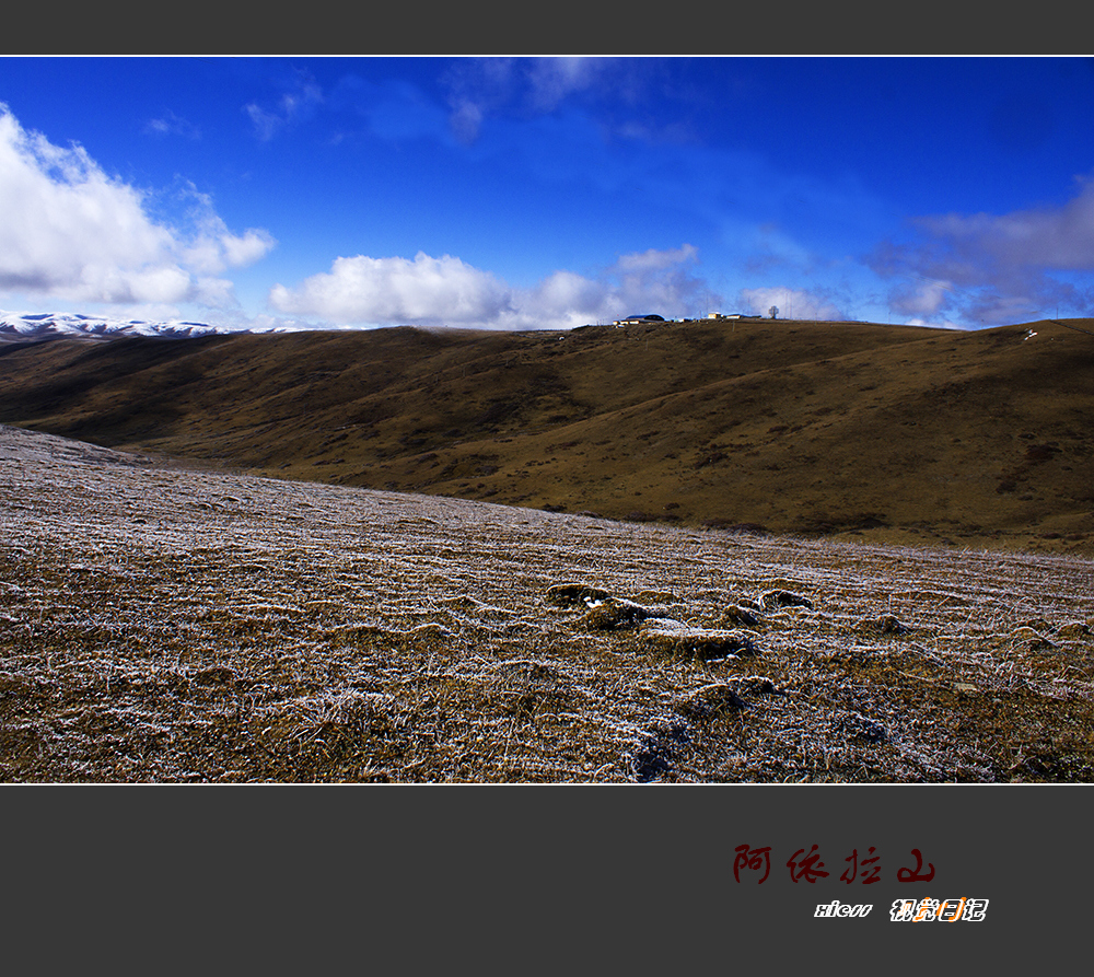 DSC00138ab.jpg