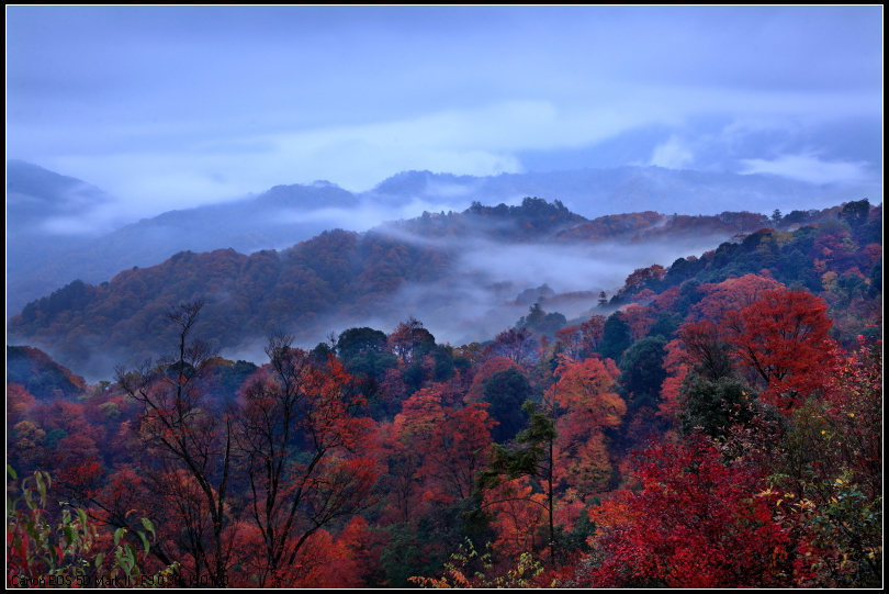 光雾山本来就是光雾的山(组图)
