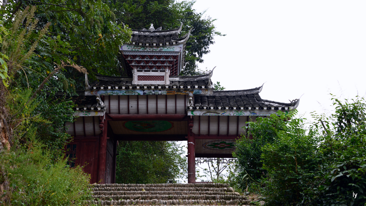 DSC_5966.JPG