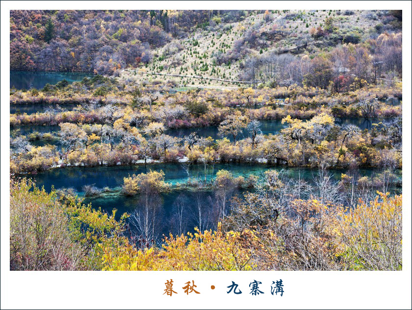 DSC_3056.jpg