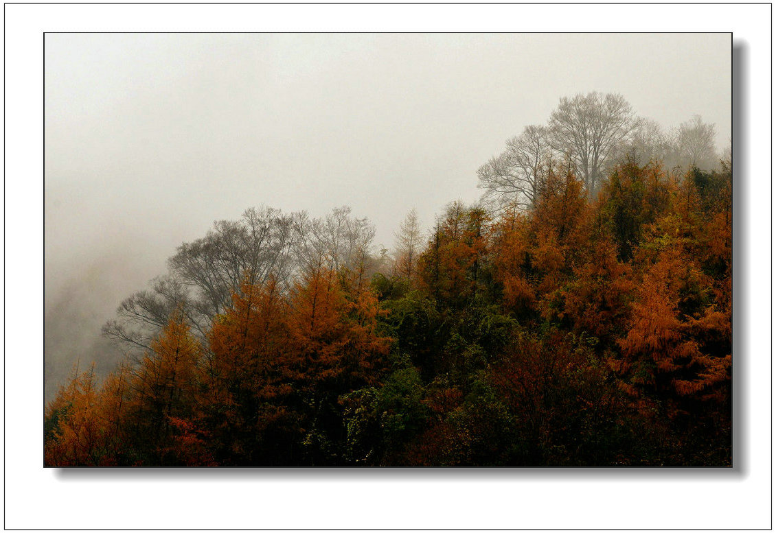 DSC_7296.jpg