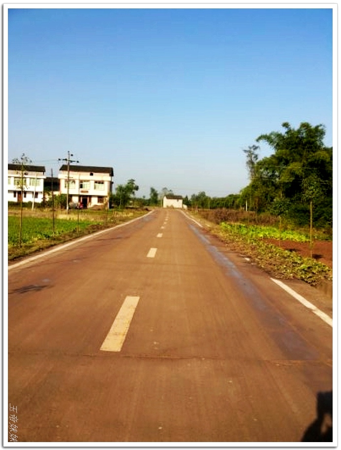 85.jpg