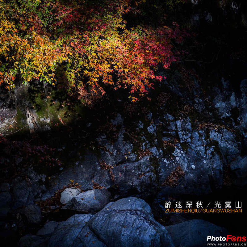 113604a33p838mb3s8lsl0.jpg