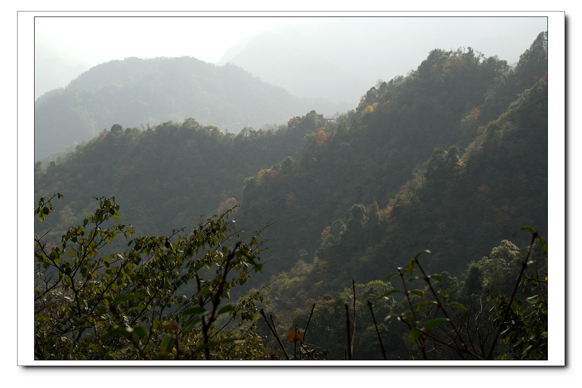 DSC_9945m.jpg