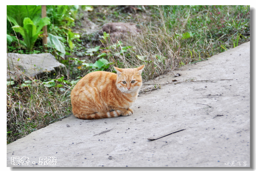 DSC_0297.jpg