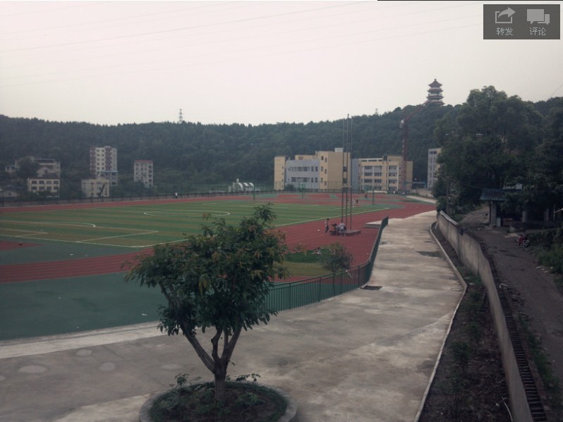 14.jpg