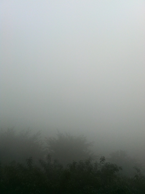 YP20131118083451.jpeg