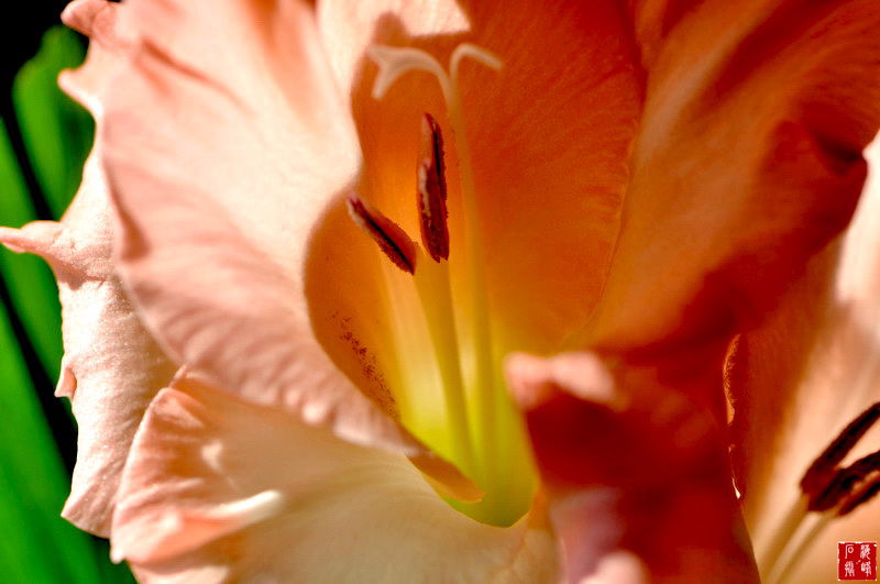 DSC_3758_С.jpg