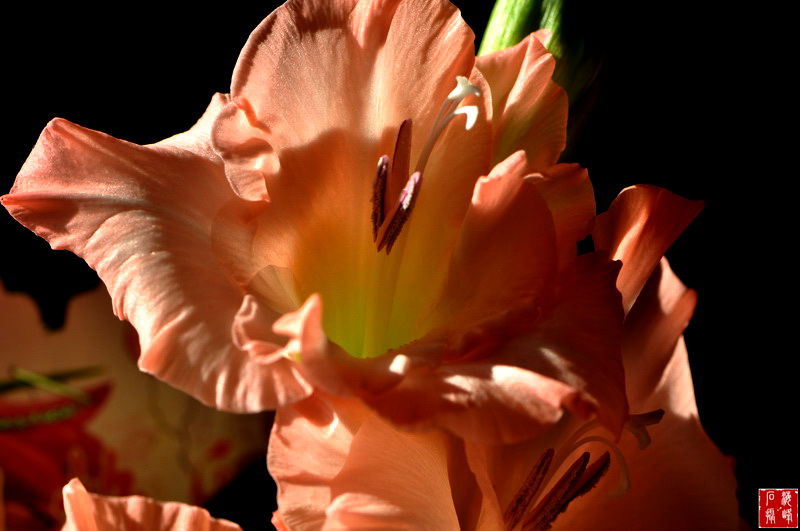 DSC_3763_С.jpg