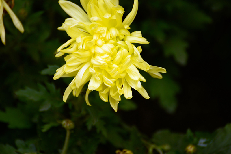 DSC_1692jpg_.jpg
