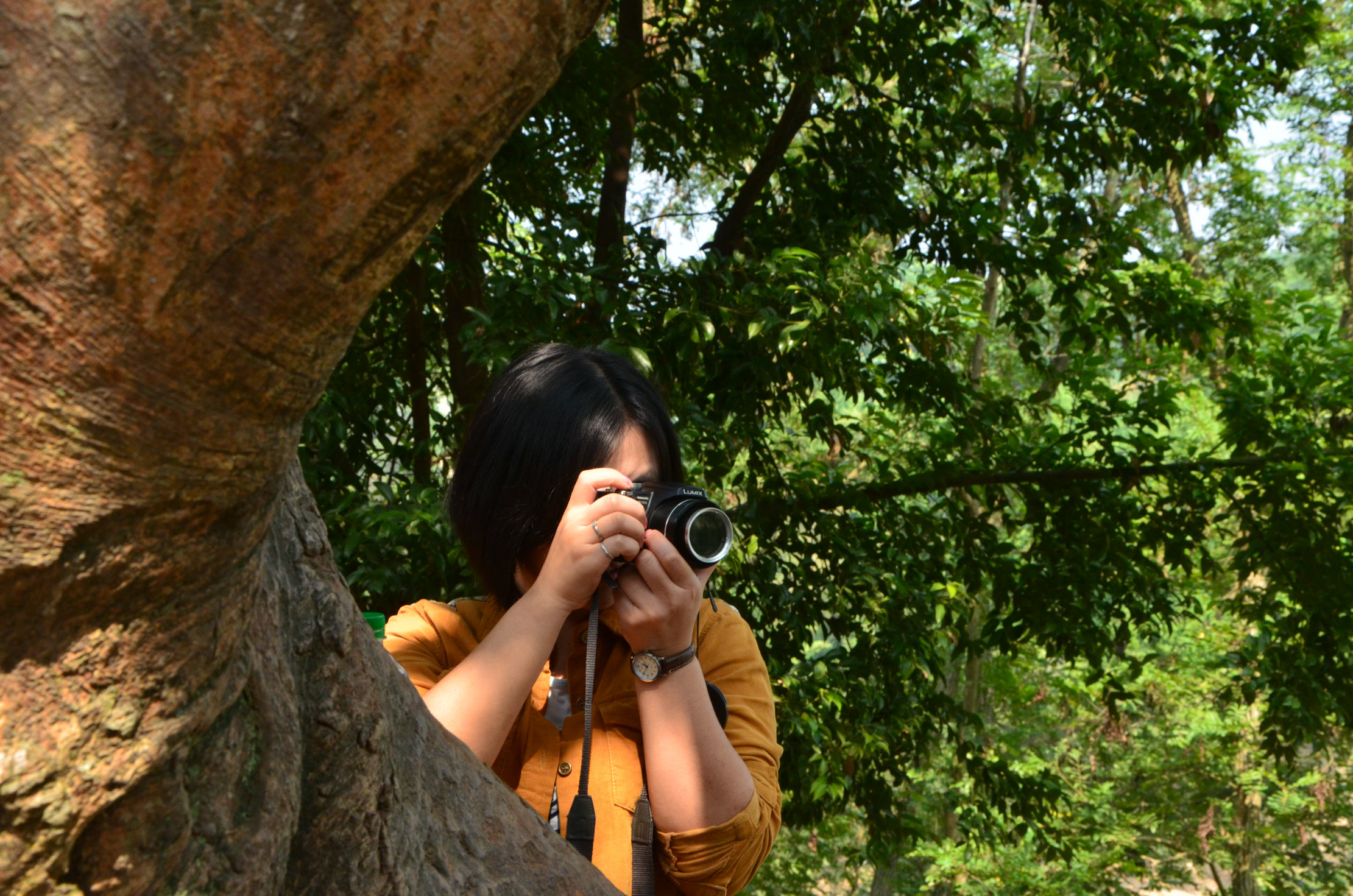 惊鸿照影(恩阳古镇)