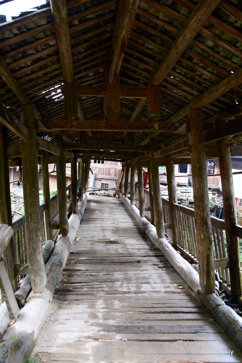 DSC_6279.JPG