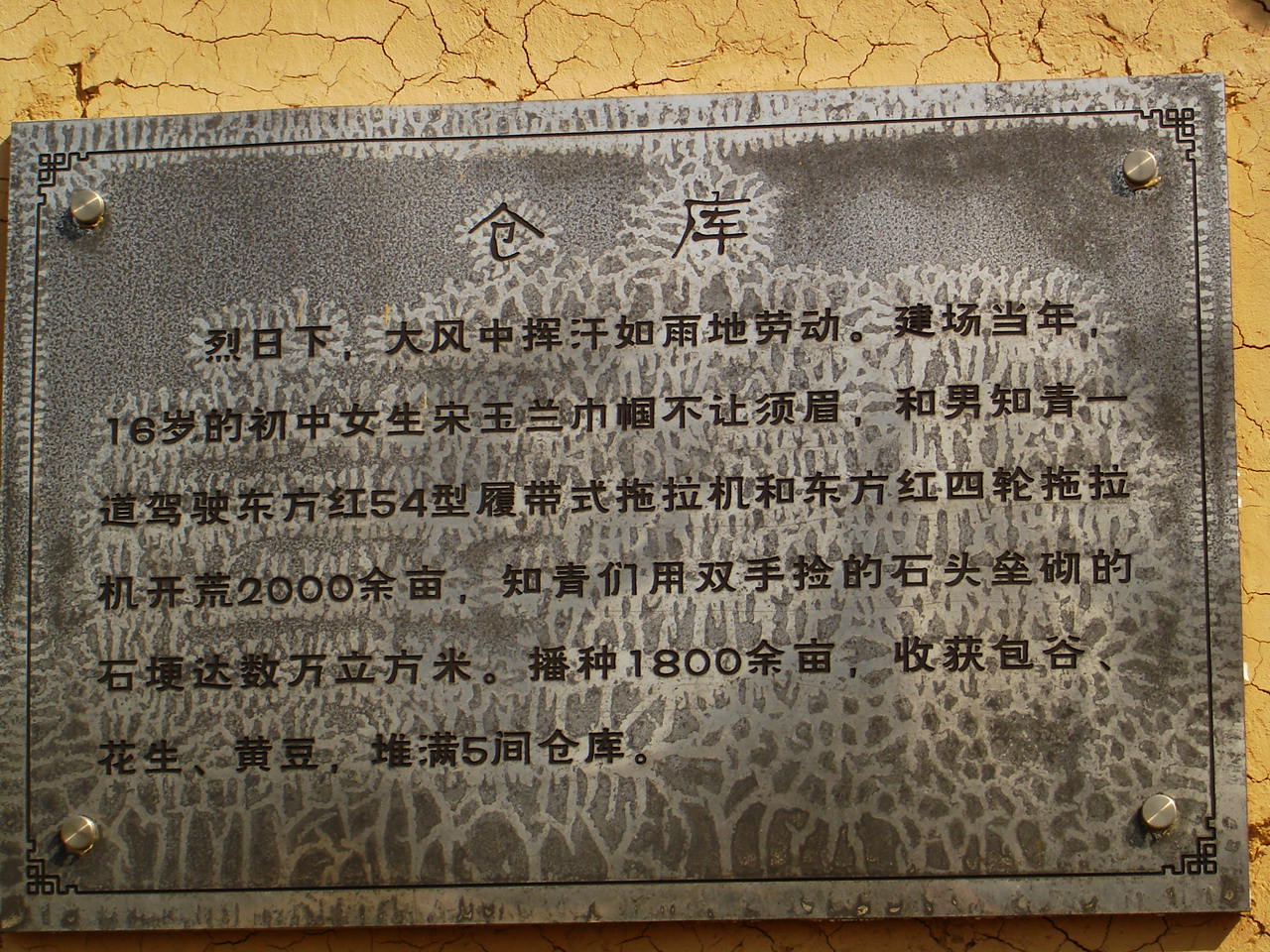 DSC04231.JPG