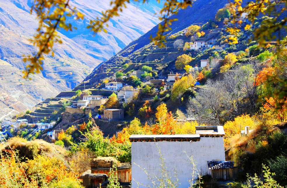 太阳谷秋色(四川得荣县)