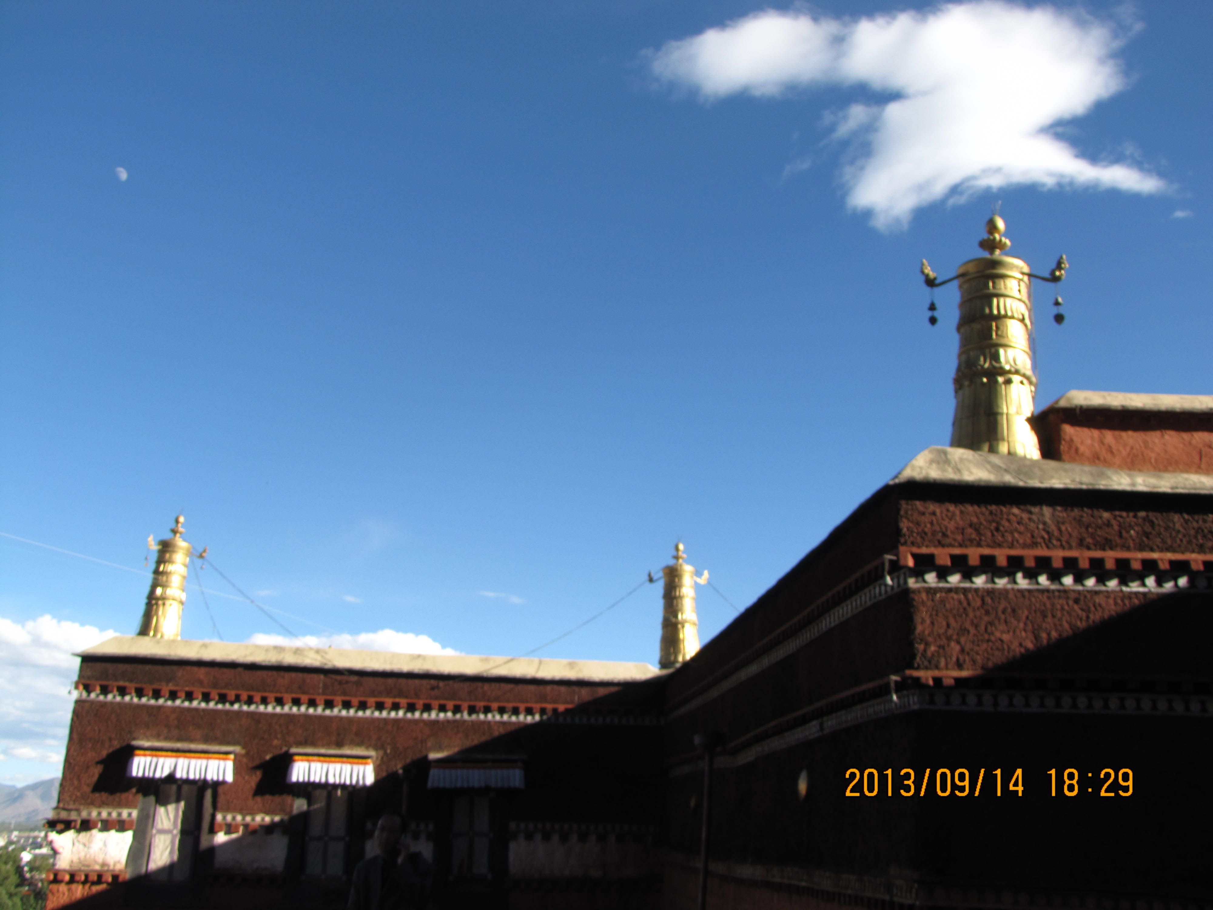 IMG_2346.jpg