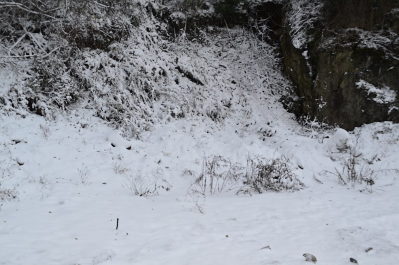 DSC_0023.JPG