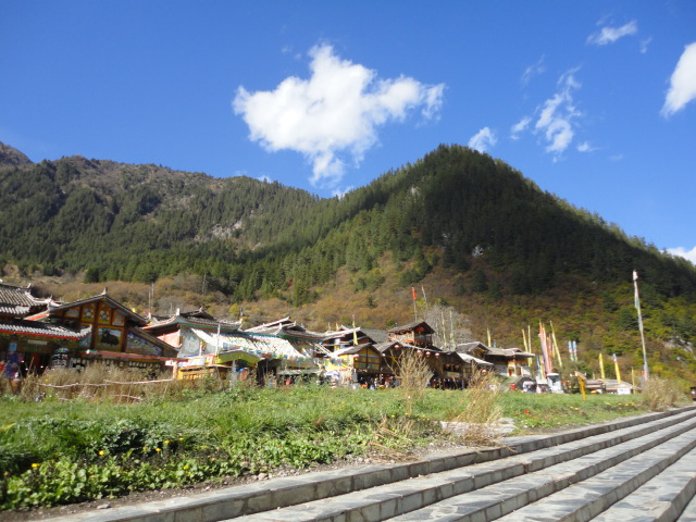 DSC02021.JPG