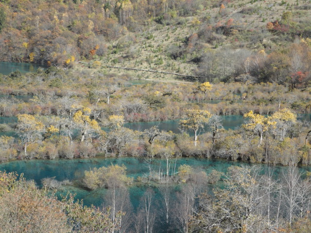DSC02022.JPG