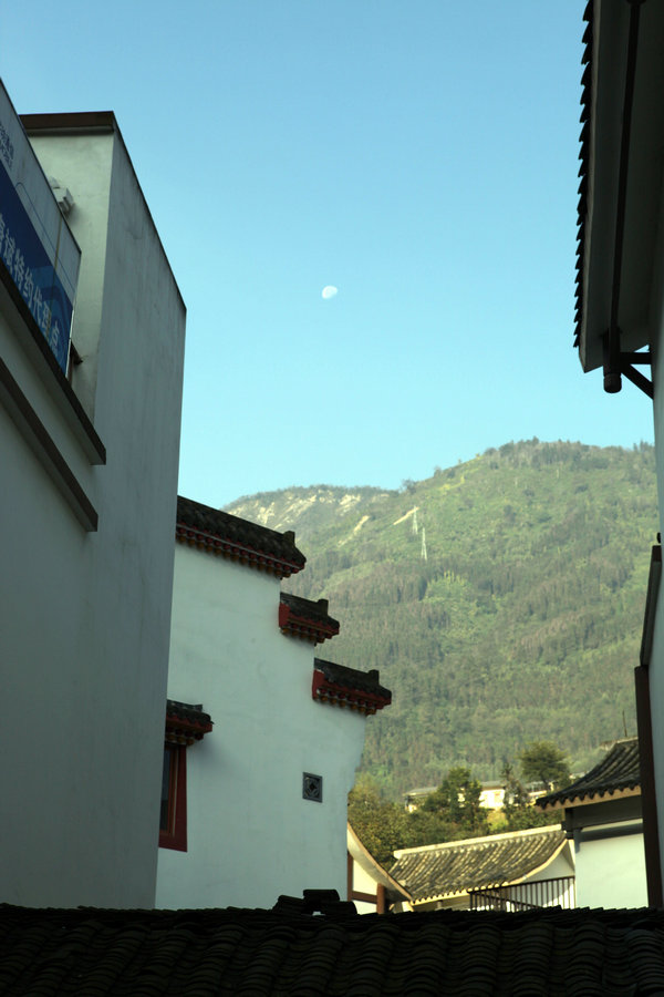 IMG_0271.jpg
